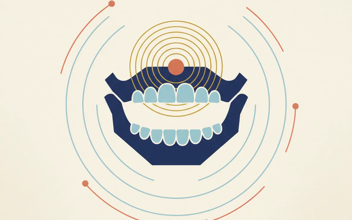 Anatomia da mandíbula e articulação temporomandibular com foco em DTM